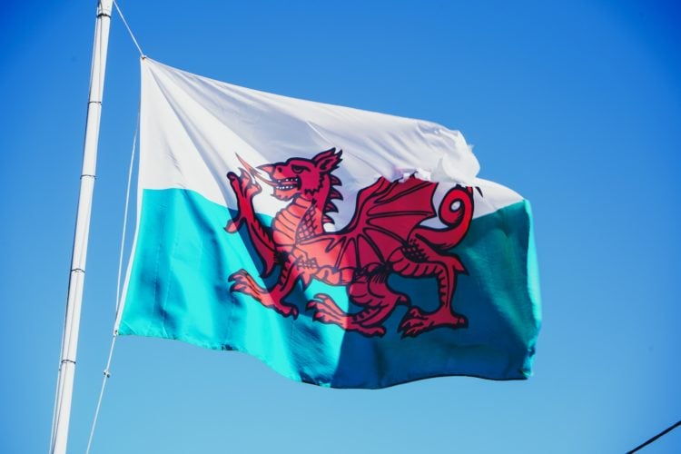 red and white flag with dragon