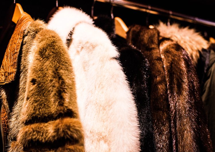 assorted mink coat