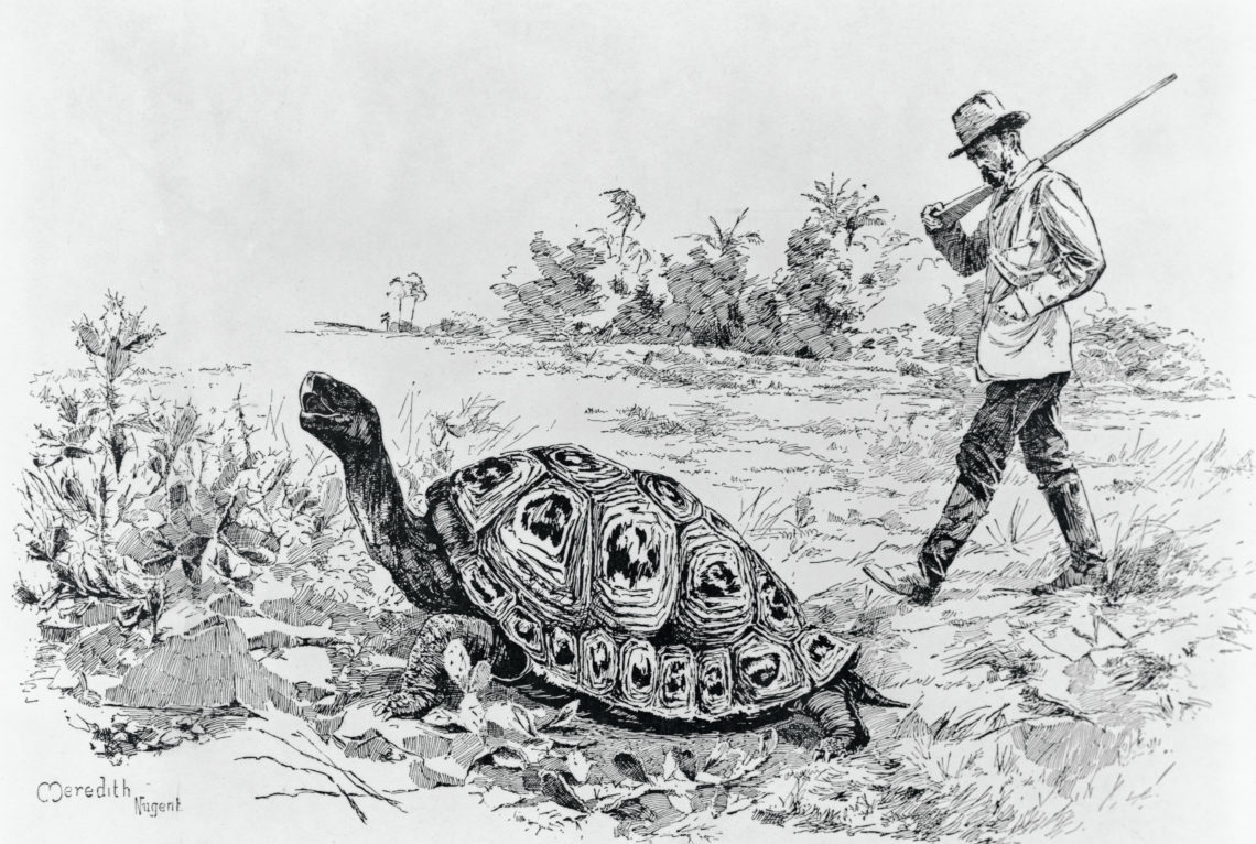 An illustration from Charles Darwin, His Life and Work, by Charles Frederick Holder, first published in 1891.