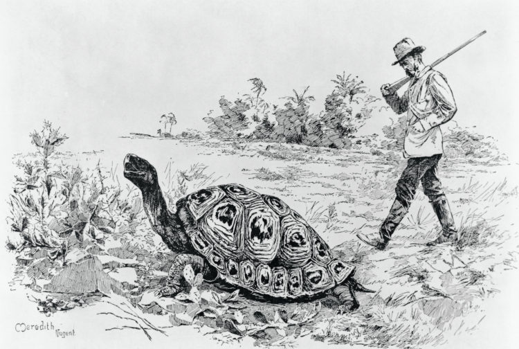 An illustration from Charles Darwin, His Life and Work, by Charles Frederick Holder, first published in 1891.