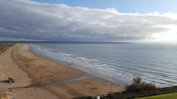 brown sand beach