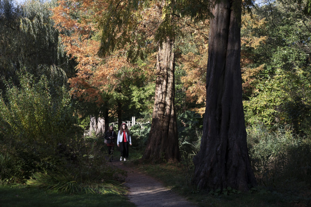 Autumn At Winterbourne Botanic Garden In Birmingham