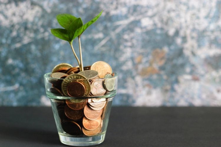 small green plant growning from glass pot full of coins