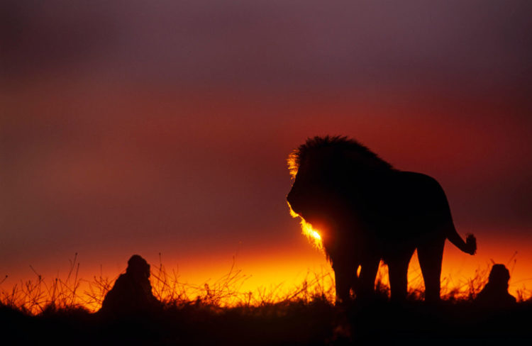 Photo by: Avalon/Universal Images Group via Getty Images