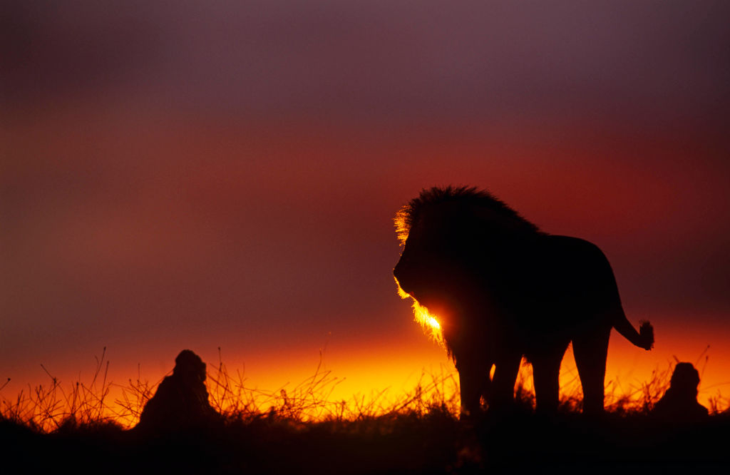 Photo by: Avalon/Universal Images Group via Getty Images