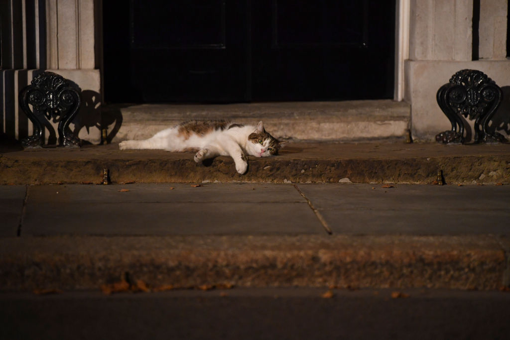 Prime Minister Boris Johnson Appoints His Cabinet