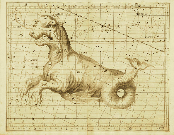 Taurus