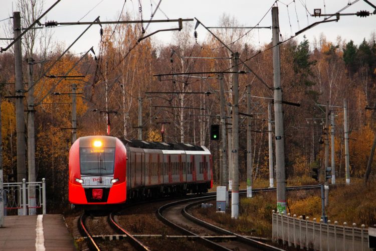 A suburban train in an autumn forest