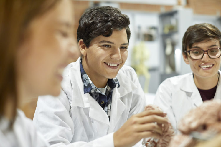 Confident young man holding human brain during anatomy class. Smiling male and female medical students are studying neuroscience. They are in unive...