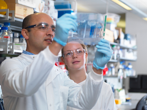 Scientists viewing a protein gel, Jenner Institute, Oxford University