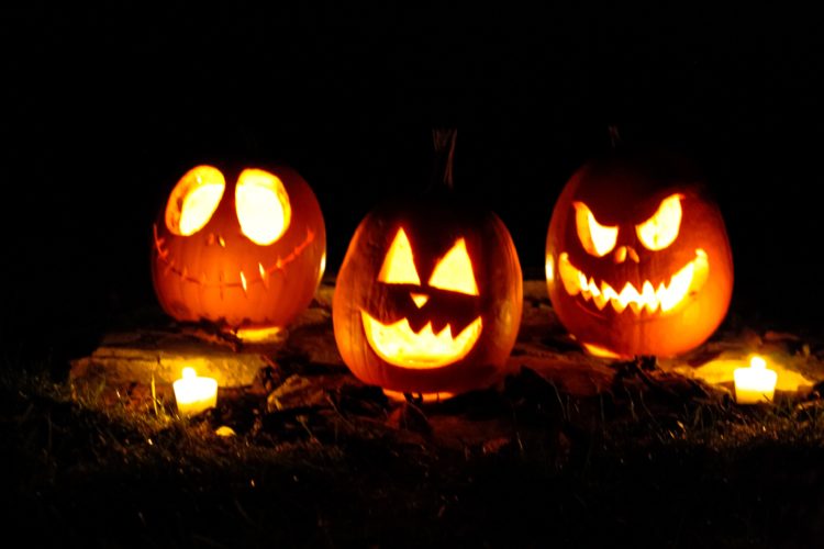 jack o lantern on brown dried leaves