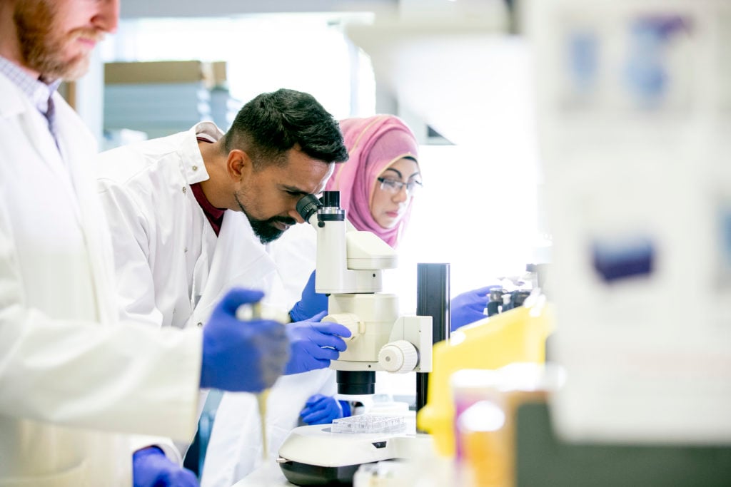 Scientists Working in a Laboratory