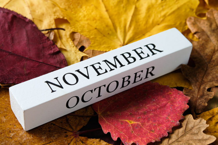The inscription October and November on a background of autumn fallen yellow, orange, red and brown leaves.