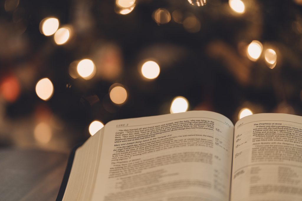 white book page with lights - BookTok