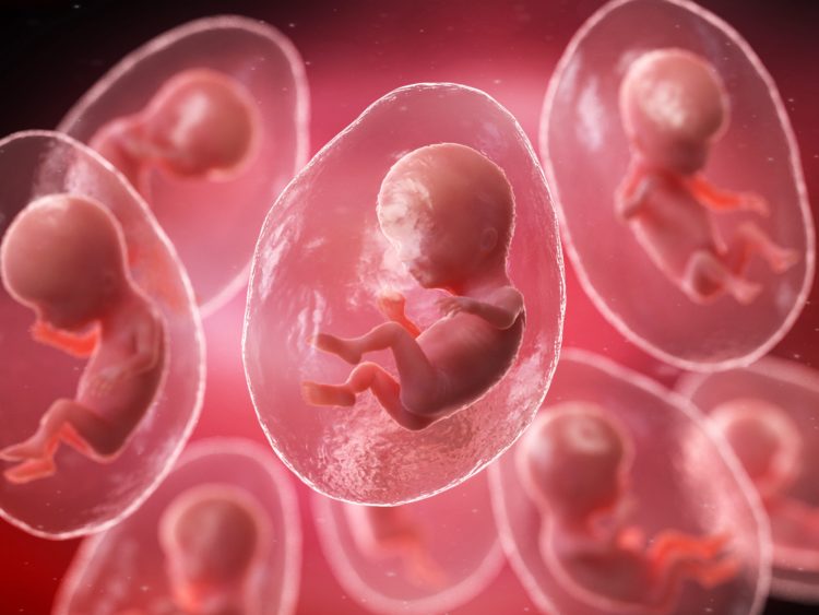 Cloning, conceptual illustration