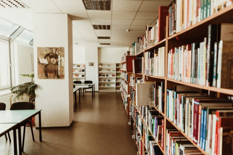 books on shelves in library