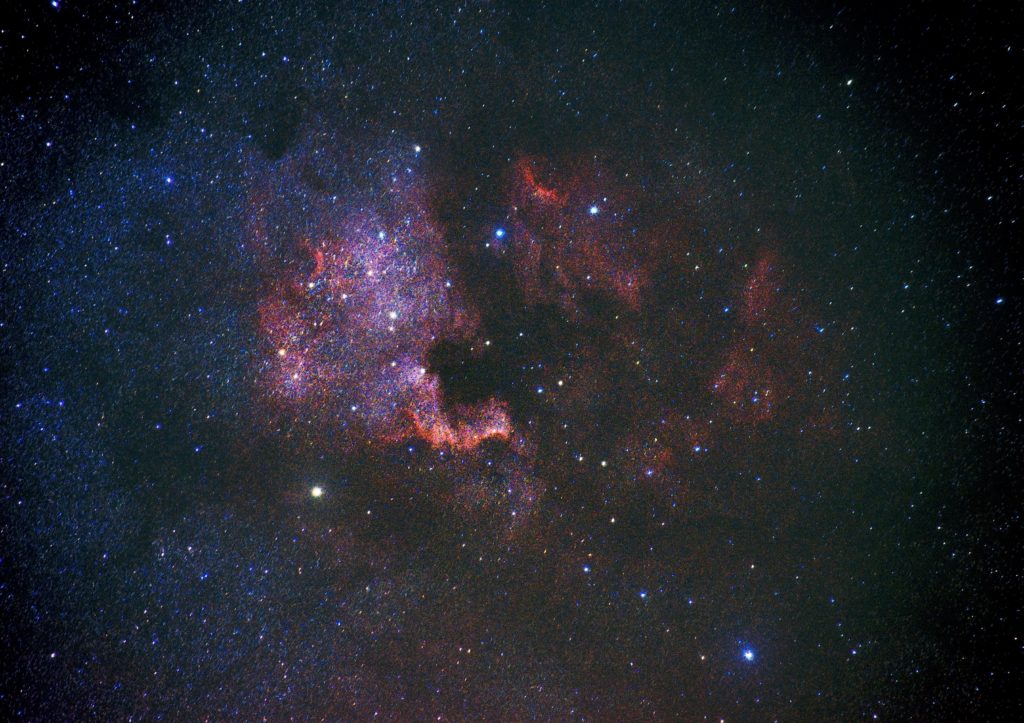 black and brown starry night