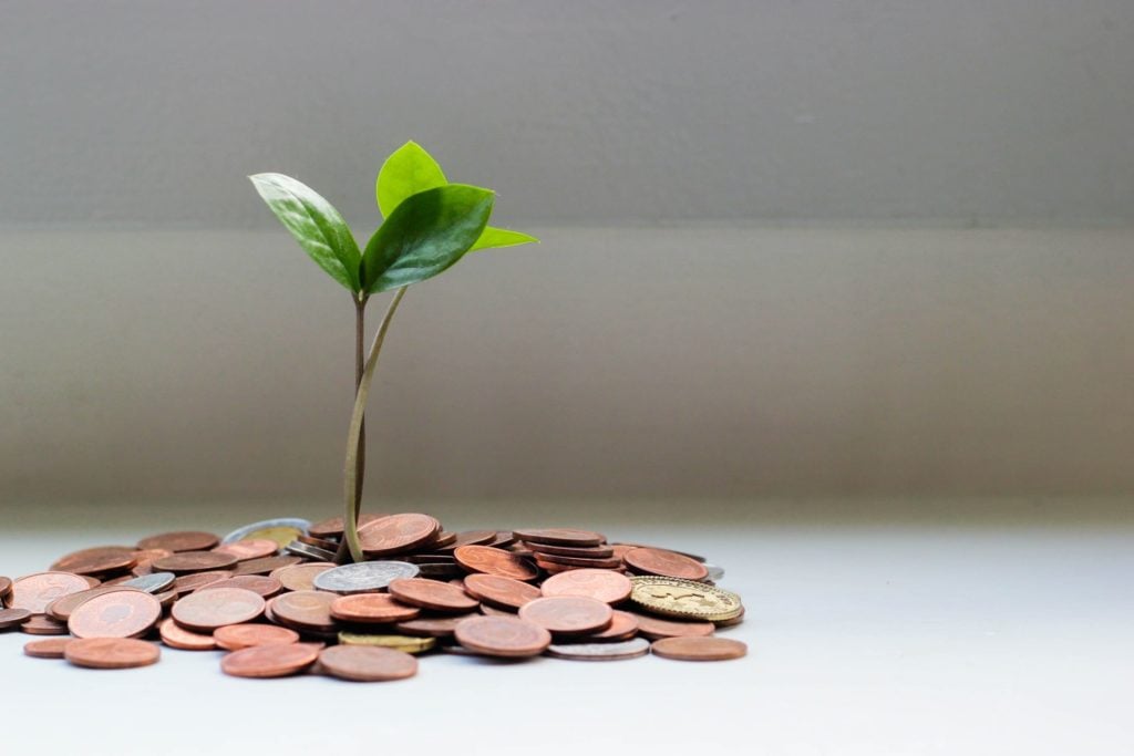 small green plant growing from a pile of copper coins on white surface