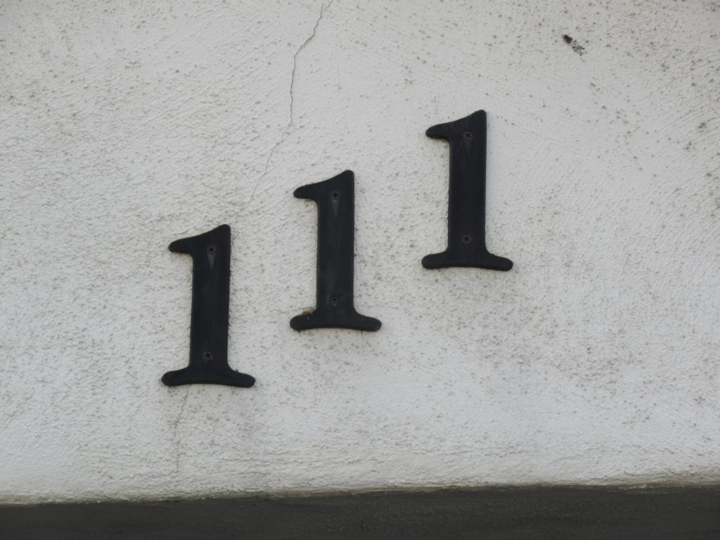 The number 111