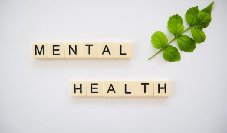 Scrabble tiles that reads mental health next to leaf on white background