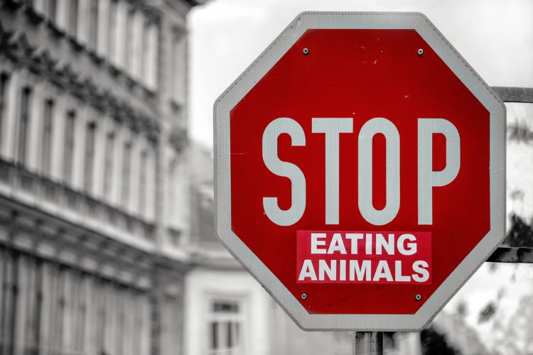 red stop sign with 'eating animals' underneath