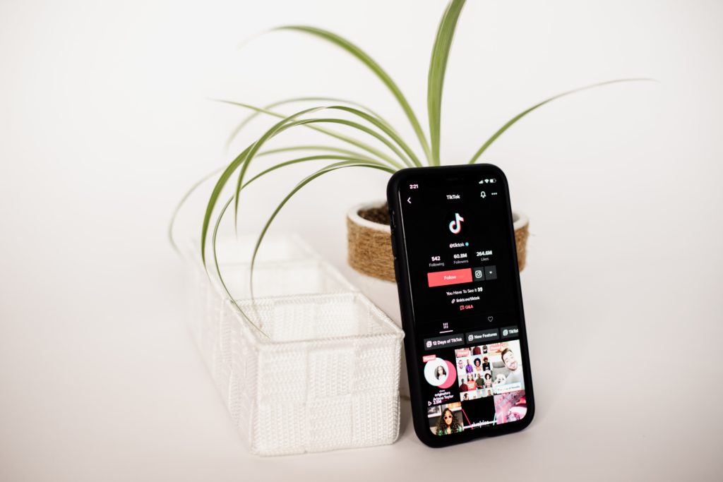 Phone running tiktok propped against plant with white background
