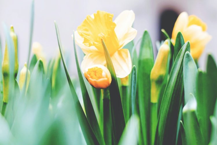 The Best Daytime Easter Activities For Students