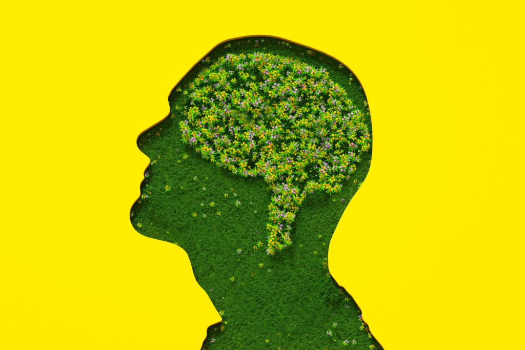 silhoutte of a man's head filled with grass and brain made out of flowers against a bright yellow background