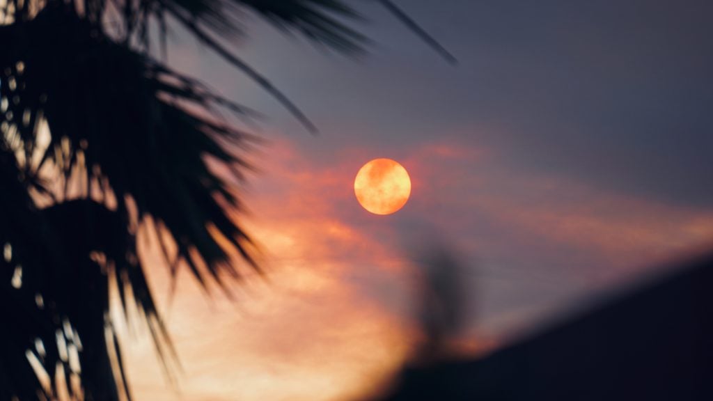 the sun is setting behind a palm tree