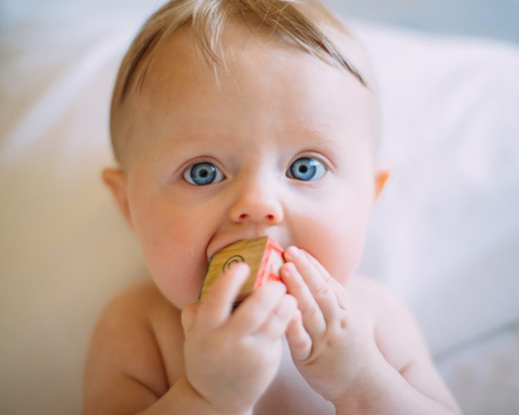 close up of baby with blue eyes looking into camera eating a building block