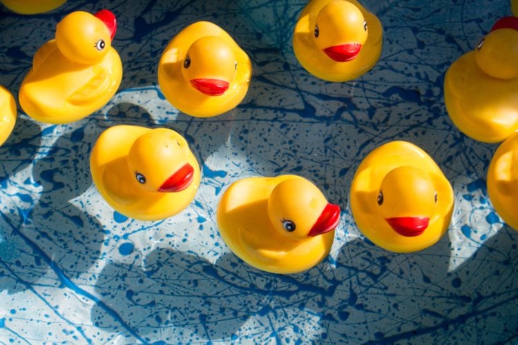 yellow rubber ducks floating on water