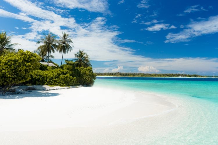 white sandy shore of tree covered insland fanding into bright blue sea